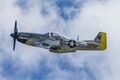 P-51D Mustang - Roman Knedli_Den ve vzduchu 2026