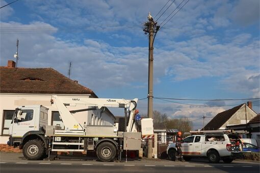 čápi hnízdí šlovice_0426_DESOP (2)