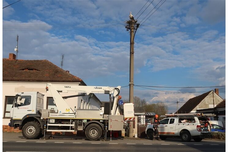 čápi hnízdí šlovice_0426_DESOP (2)