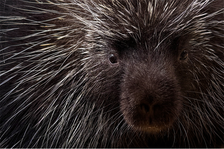 urzoun_0426_zoo Plzeň