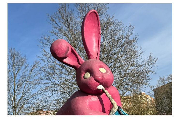 růžový králík požírá kurýra_0426_foto Eliška Darvašová (2)