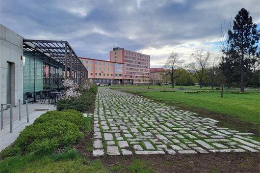 Borský park v Plzni prošel proměnou_0426_MMP (1)