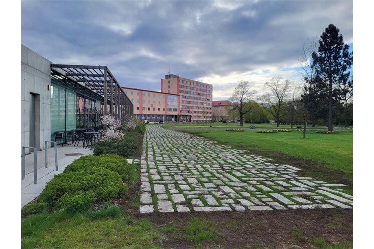 Borský park v Plzni prošel proměnou_0426_MMP (1)