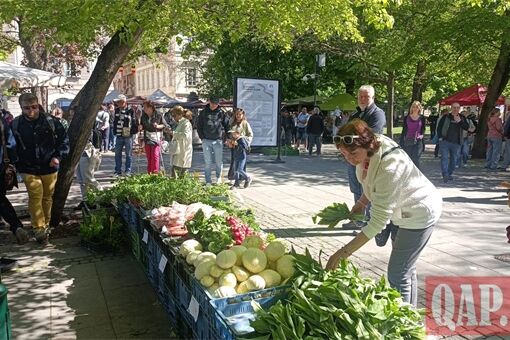 Farmářské trhy U Zvonu_0526_QAP (1)