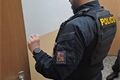 kontroly cizinecka policie PK_0526_PČR (2)