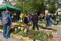 Farmářské trhy U Zvonu_0526_QAP (10)