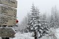 IMG_20260516_101642