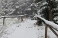 IMG-20260516-WA0019