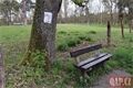 Výlet Gutštejn_0526_QAP (2)