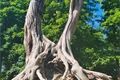 Ryzmberk turisticke setkání QAP (45)