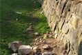 IMG-20260327-WA0001