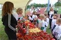 sportovní hry mateřských škol_0626_Nadace sportující mládeže (18)