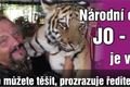 cirkus joo