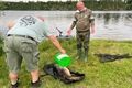 Hracholusky zahájení sezony dravců_0626_kemp Keramika (4)