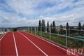 nová běžecká dráha_kopec_AK Škoda Plzeň_stadion_0626_QAP (19)