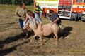 záchrana poníka ze studny_0726_HZSPK (2)