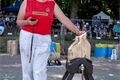 chudenice drřevorubci foto QAP MIlan JAnoch (10)