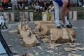 Wood Chopfest Chudenice 2026 (14)