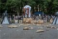 Wood Chopfest Chudenice 2026 (16)