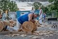 Wood Chopfest Chudenice 2026 (19)