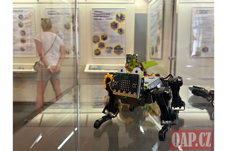 výstava mázahus centrum robotiky_0726_QAP (1)