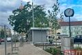 rekonstrukce sady Pětatřicátníků stromy_0726_QAP (2)