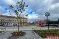 rekonstrukce sady Pětatřicátníků stromy_0726_QAP (4)