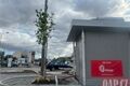 rekonstrukce sady Pětatřicátníků stromy_0726_QAP (16)