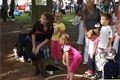 Radoušovy hry 2011 (38)