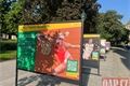 výstava sport Plzeň_0726_QAP (1)