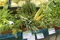 U Zvonu farmářské trhy_0826_QAP (16)