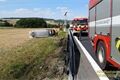 OA v poli Želčany_0826_HZSPK (2)