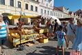 chodske slavnosti foto QAP (6)