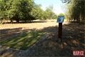Discgolf MO PLzen 1 (17)