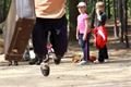2011_09_17_sofronka2011_185