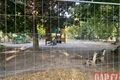 hřiště Hvězda Bory rekonstrukce_0826_QAP (10)