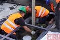 náměstí stromy rekonstrukce_0826_QAP (6)