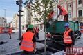 náměstí stromy rekonstrukce_0826_QAP (14)