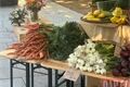 farmářské trhy Plzeň_0826_QAP (3)