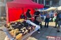 farmářské trhy Plzeň_0826_QAP (4)