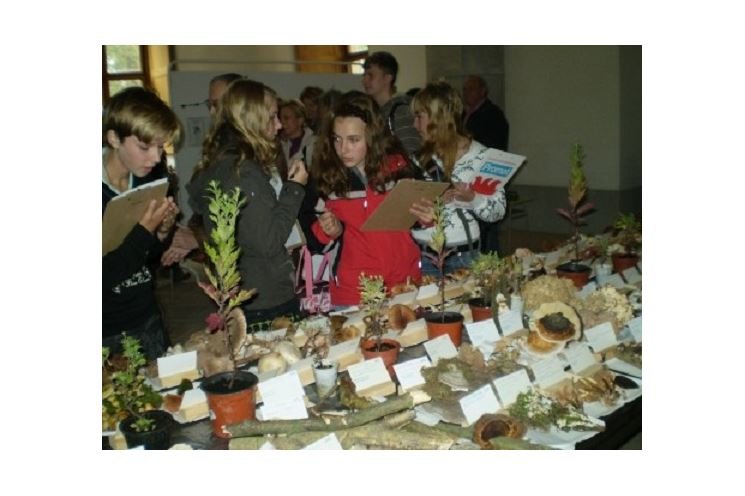 Výstava hub Plasy 2010, foto www.zs-zihle.cz Výstava hub Plasy 2010, foto www.zs-zihle.cz