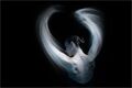 Anna_Pavlova_2026_djkt_The_Queens