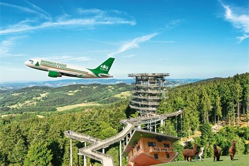 waldwipfelweg_flieger_8-1600x1132
