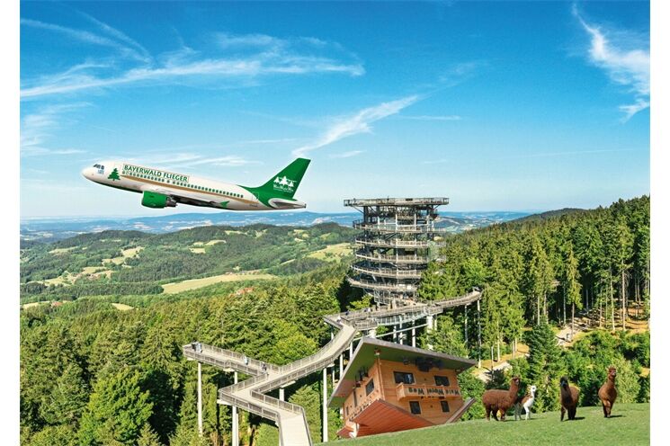 waldwipfelweg_flieger_8-1600x1132