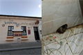 inspekce Hostinec Pod kopcem_0926_SZPI (1)