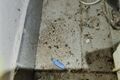 inspekce Hostinec Pod kopcem_0926_SZPI (14)