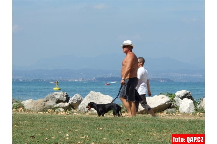 ilustarčka QAP foto ilustarčka QAP foto