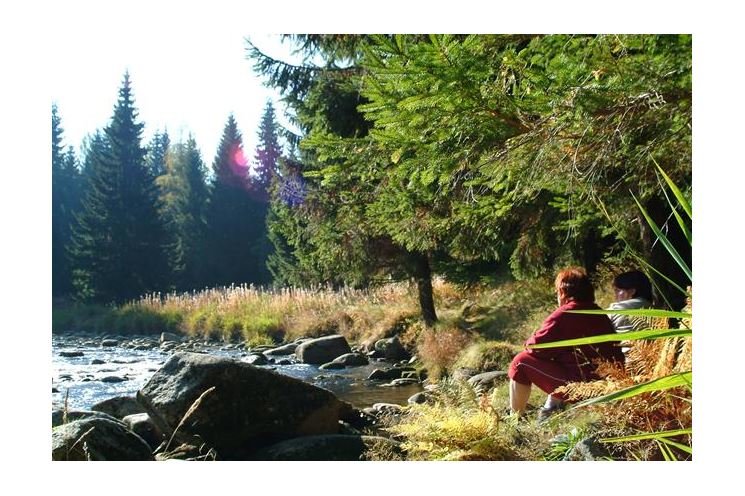 Šumava - Antýgl992