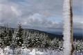 _MG_0035