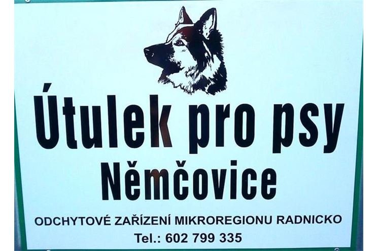 Útulek pro psy Němčovice, foto archiv útulku